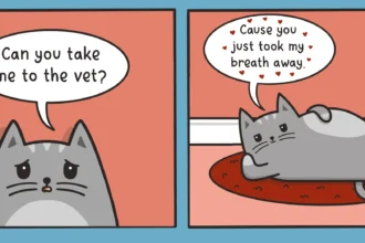 cat puns